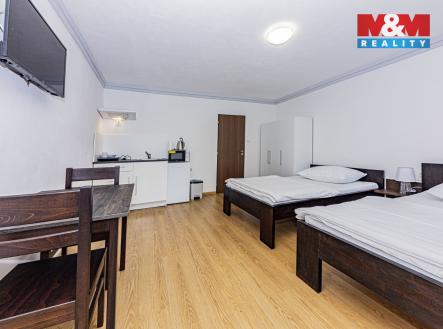 Pronájem bytu, 1+kk, 25 m²