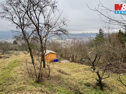 Pronájem pozemku, zahrada, 300 m²