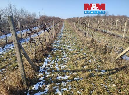 Prodej pozemku, zemědělská půda, 3 677 m²