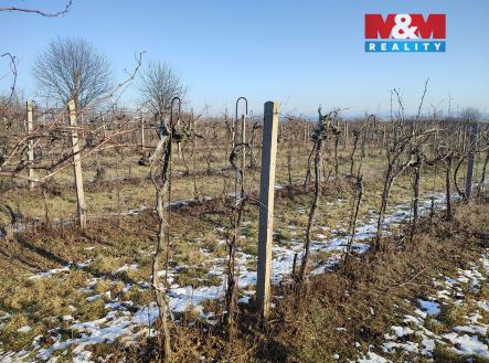 Prodej pozemku, zemědělská půda, 3 677 m²