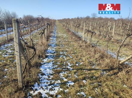 Prodej pozemku, zemědělská půda, 3 677 m²