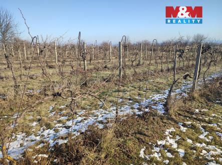 Prodej pozemku, zemědělská půda, 3 677 m²