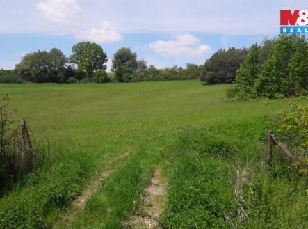 Prodej pozemku, zemědělská půda, 4 743 m²