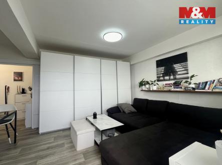 Pronájem bytu, 1+1, 31 m²