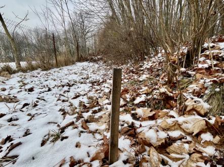 Prodej pozemku pro bydlení, 1 929 m²