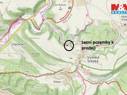 Prodej pozemku, trvalý travní porost, 26 000 m²