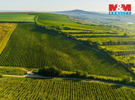 Prodej pozemku, zemědělská půda, 56 699 m²