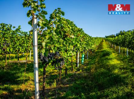 Prodej pozemku, zemědělská půda, 56 699 m²