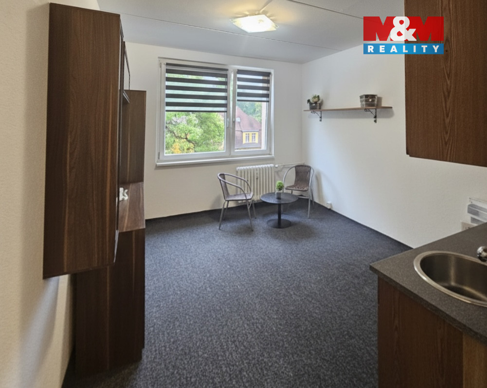 Obývací pokoj s kuchyní 