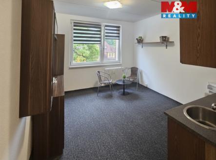 Pronájem bytu, 1+kk, 20 m²