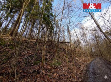 Prodej pozemku, les, 87 259 m²