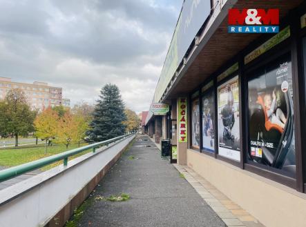 Pronájem obchodní prostor, 1 000 m²