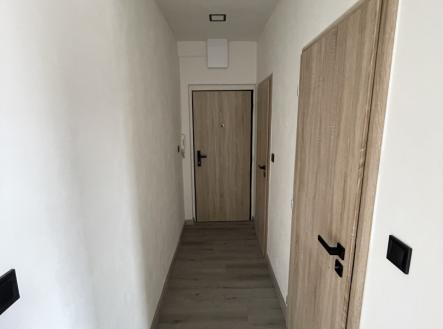 Pronájem bytu, 1+kk, 30 m²