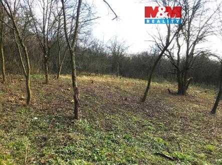 Prodej pozemku, zahrada, 394 m²