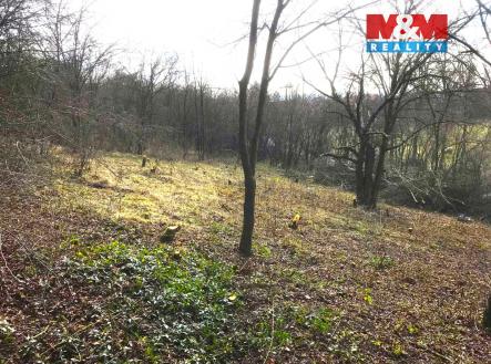 Prodej pozemku, zahrada, 782 m²