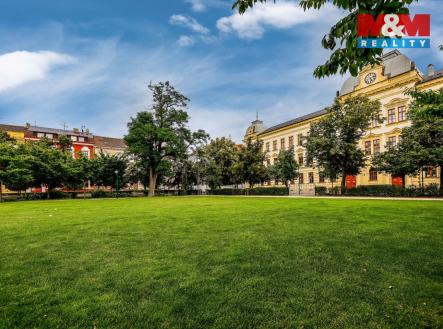 Pronájem bytu, 1+kk, 43 m²