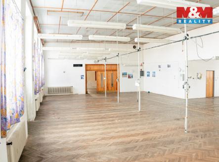 Pronájem obchodní prostor, 345 m²