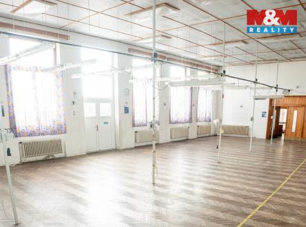 Pronájem obchodní prostor, 345 m²