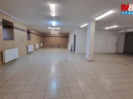 Pronájem obchodní prostor, 230 m²