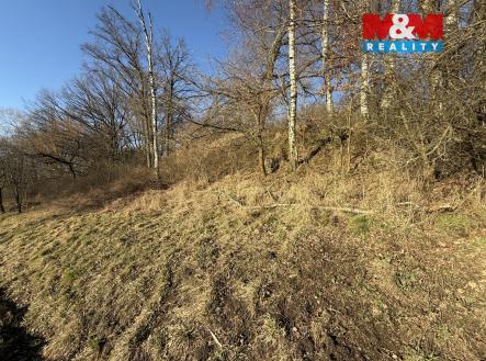 Prodej pozemku, trvalý travní porost, 799 m²