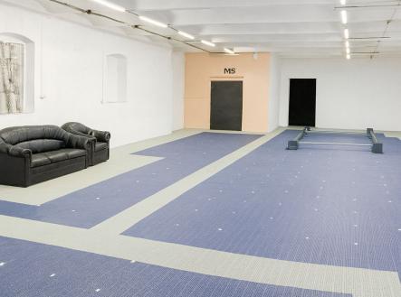 Pronájem skladovací prostor, 160 m²