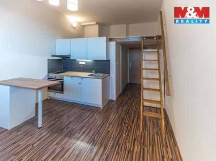 Pronájem bytu, 1+kk, 19 m²