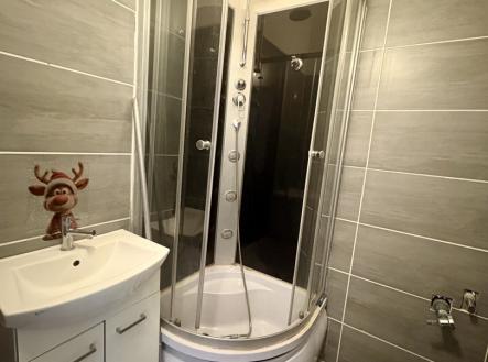 Pronájem bytu, 2+1, 55 m²