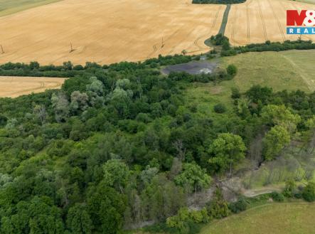 Prodej pozemku, trvalý travní porost, 46 243 m²