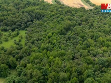 Prodej pozemku, trvalý travní porost, 46 243 m²