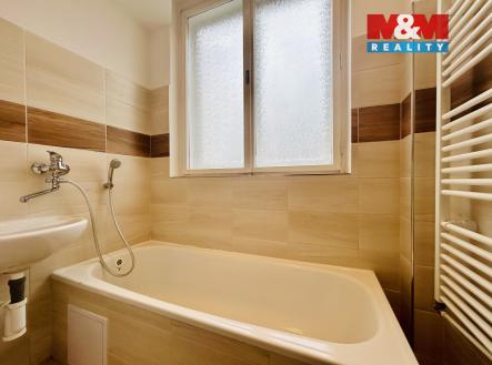 Pronájem bytu, 1+1, 54 m²