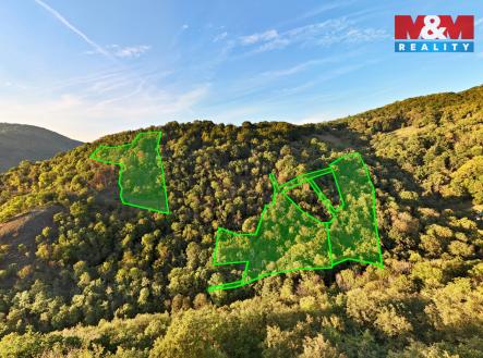 Prodej pozemku, les, 23 067 m²
