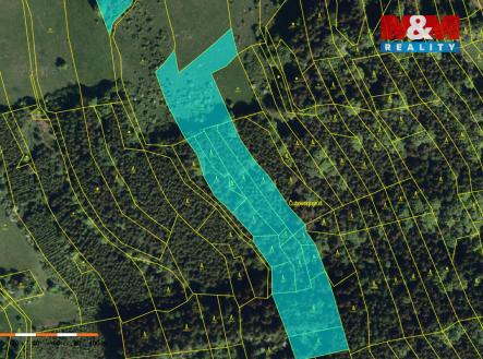 Prodej pozemku, les, 16 666 m²