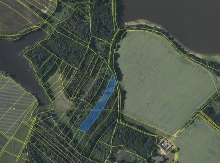 Prodej pozemku, les, 6 834 m²