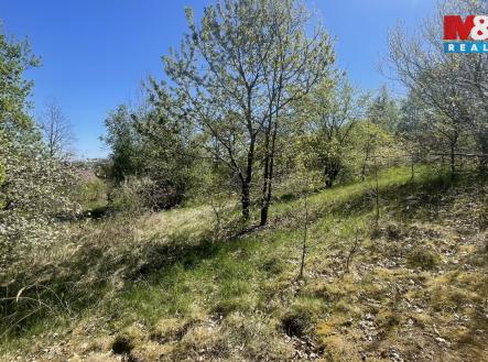 Prodej pozemku pro bydlení, 3 556 m²