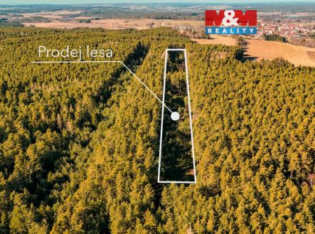 Prodej pozemku, les, 18 382 m²