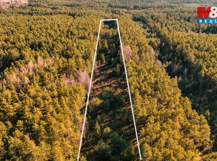 Prodej pozemku, les, 18 382 m²