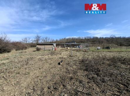 Prodej pozemku, zemědělská půda, 9 944 m²