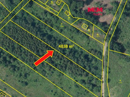 Prodej investičního pozemku 4 038 m² ve Velkých Popovicích