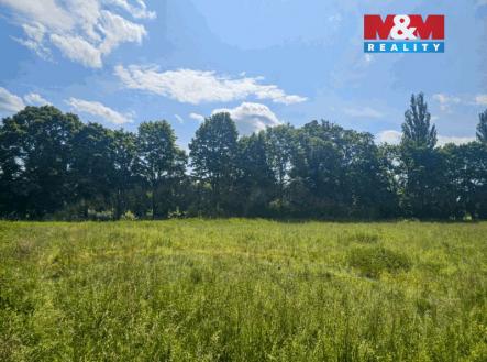 Prodej pozemku, trvalý travní porost, 1 878 m²