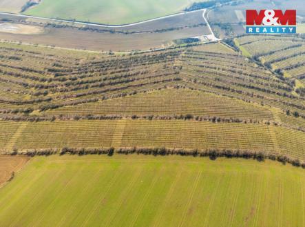 Prodej pozemku, zemědělská půda, 2 424 m²