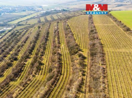 Prodej pozemku, zemědělská půda, 2 424 m²