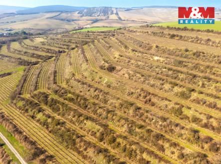 Prodej pozemku, zemědělská půda, 2 424 m²