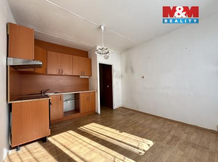 Prodej bytu, 1+kk, 19 m²