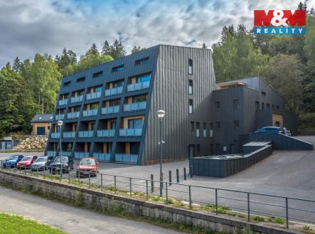 Prodej bytu, 1+kk, 29 m²