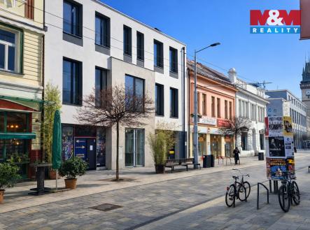 Pronájem obchodní prostor, 390 m²