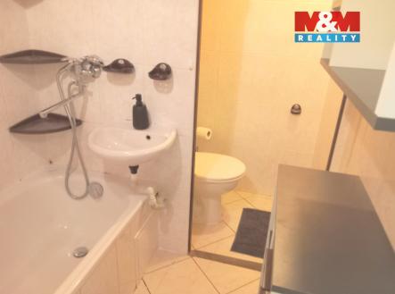 Pronájem bytu, 1+1, 41 m²