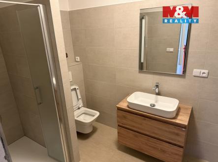 Pronájem bytu, 3+kk, 109 m²