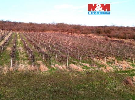 Prodej pozemku, zemědělská půda, 9 215 m²