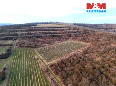 Prodej pozemku, zemědělská půda, 9 215 m²