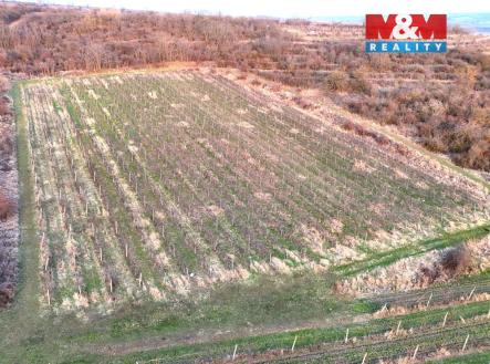 Prodej pozemku, zemědělská půda, 9 215 m²